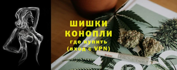 прущие грибы Волоколамск