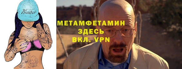 прущие грибы Волоколамск