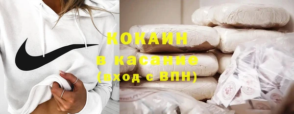прущие грибы Волоколамск