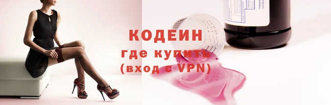 прущие грибы Волоколамск