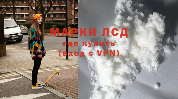 прущие грибы Волоколамск
