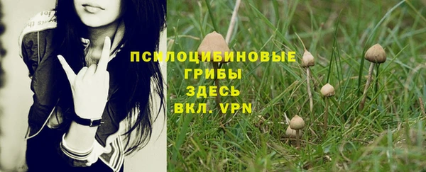 спайс Волосово
