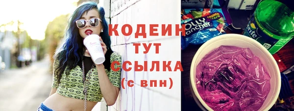 прущие грибы Волоколамск